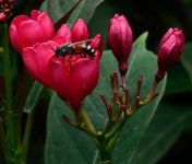 DSC_8747.jpg