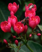 DSC_8750.jpg