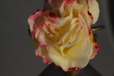 2014-07-27 12-38-29.jpg