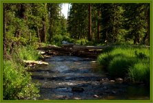 Spirit Lake Stream 2.jpg