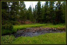 Spirit Lake Stream, Meadow, and Forest.jpg
