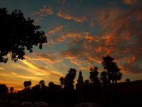 Sunset2.jpg