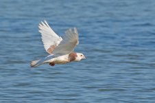 DSC_6391.jpg