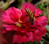 DSC_8909.jpg