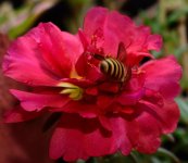 DSC_8910.jpg