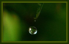 Rain Drop.jpg