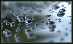 Raindrops on the Window.jpg