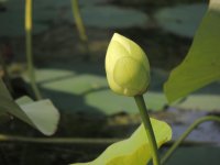 DSCN0010.jpg
