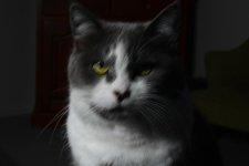 DSC_3821.jpg
