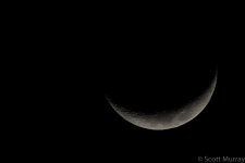 SHM_6185.jpg
