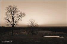 Mapleside Sunset 4-11-14 b Sepia_300.JPG