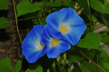 DSC_9010_edited.jpg