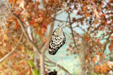 DSC_5559.jpg