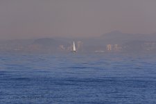 NEW_4029_webshot.jpg