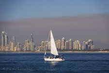 NEW_4010_webshot.jpg