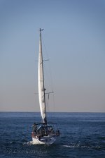 NEW_4009_webshot.jpg