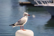 NEW_4094_webshot.jpg