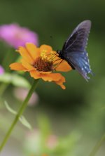 _DSC5840 (694x1024).jpg