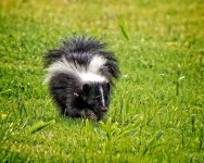Day212-2.jpg