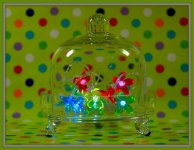 Colorful Polka Dots with Flower Lights.jpg