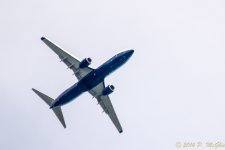 DSC_9913.jpg