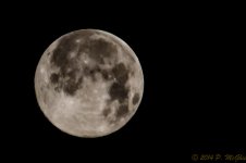 DSC_9927.jpg