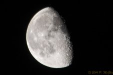 DSC_9944.jpg