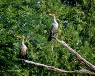 DSC_1024_11534.jpg