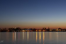 D800 Bug Night 24-35 HD2d.jpg