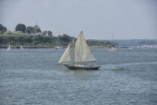 D810 Cape #1 HD3.jpg