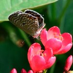 DSC_9349.jpg