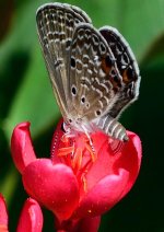 DSC_9352.jpg