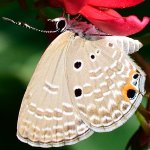 DSC_9357.jpg