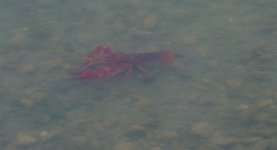 2nd Aug 2014 007.JPG