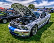 DSC_8906_W.jpg