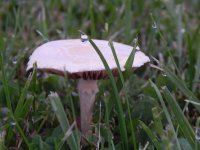 DSCN2122.jpg