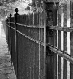 DSCN2128.jpg