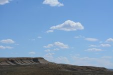 DSC_6784.JPG