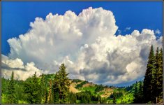 710_0874 Stitch-2.jpg