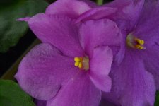 DSC_3261.jpg