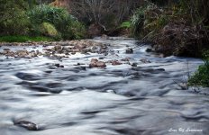 Downstream LOL.jpg