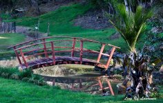 Pond and bridge LOL.jpg