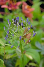 DSC_1162.jpg
