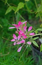 DSC_1163.jpg