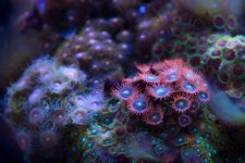 DSC_7670.jpg