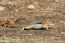 ChipCrawling 014.jpg