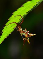 DSC_4286_edited.jpg