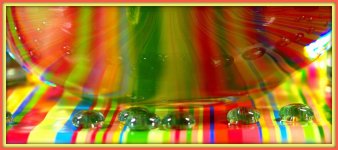 Glass Reflections.jpg