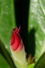 DSC_9473.jpg