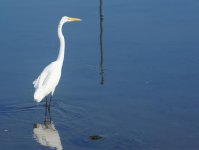 DSC_1810.jpg